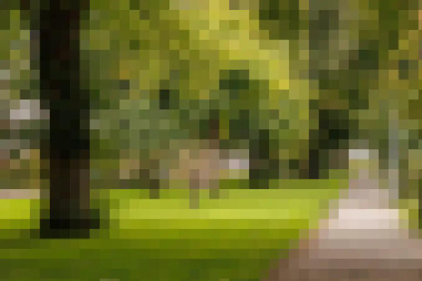 Schierstins 17 Amsterdam thumbnail 25