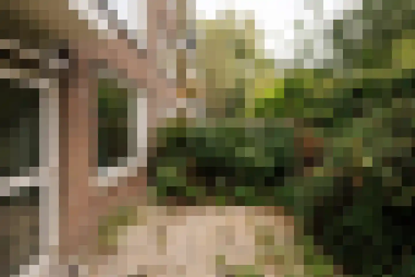 Schierstins 17 Amsterdam thumbnail 5
