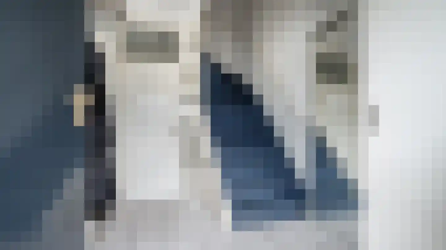 Schierstins 18 Almelo thumbnail 10
