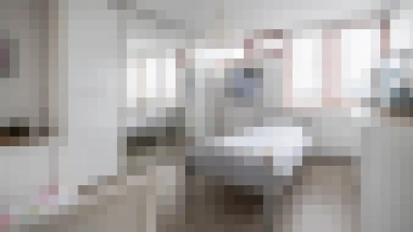 Schierstins 18 Almelo thumbnail 14