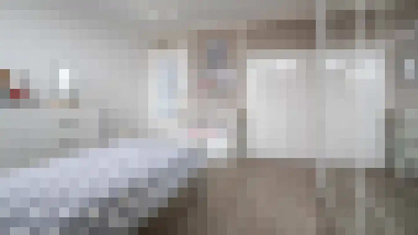 Schierstins 18 Almelo thumbnail 15