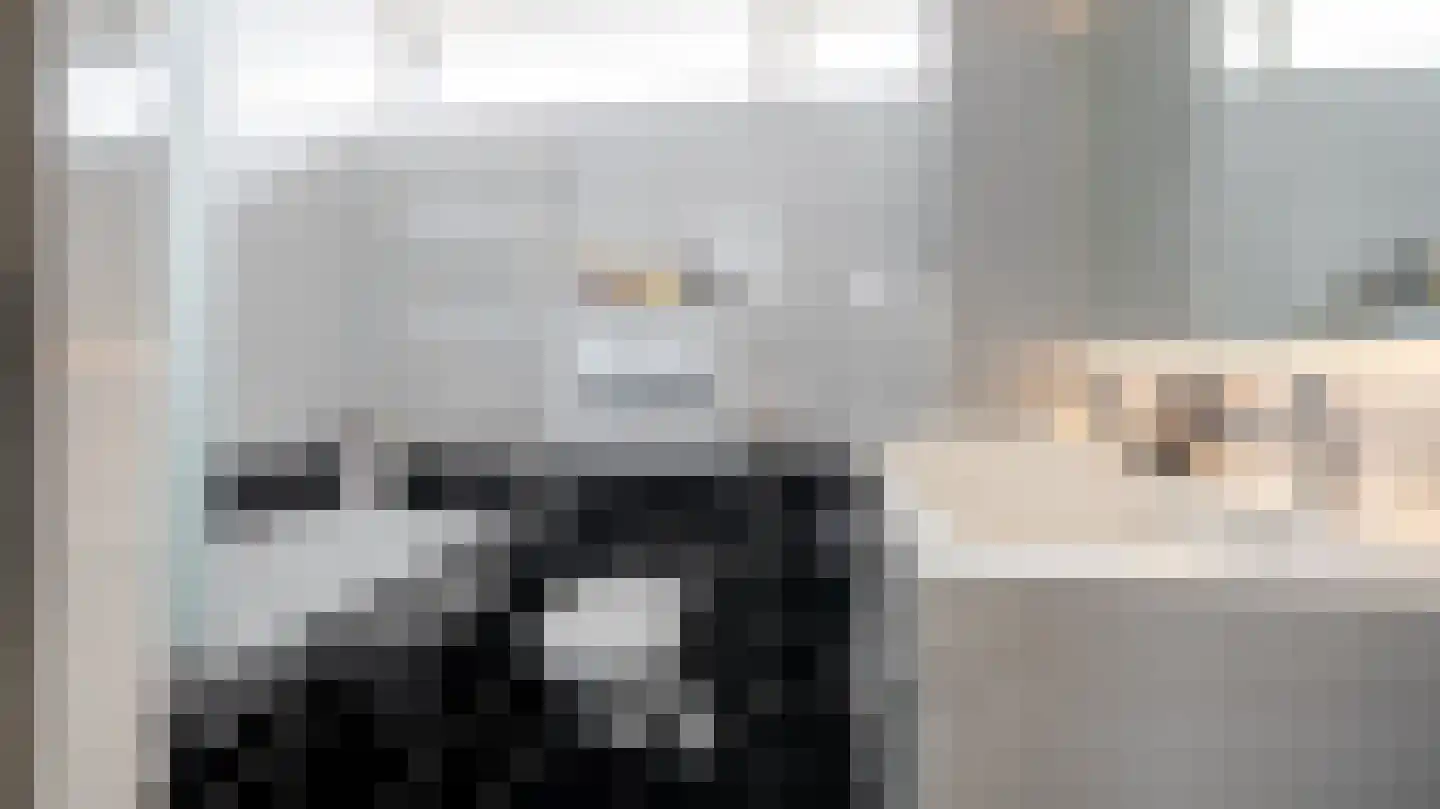 Schierstins 18 Almelo thumbnail 18