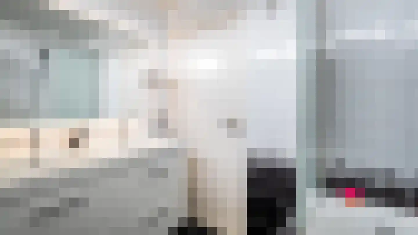 Schierstins 18 Almelo thumbnail 20