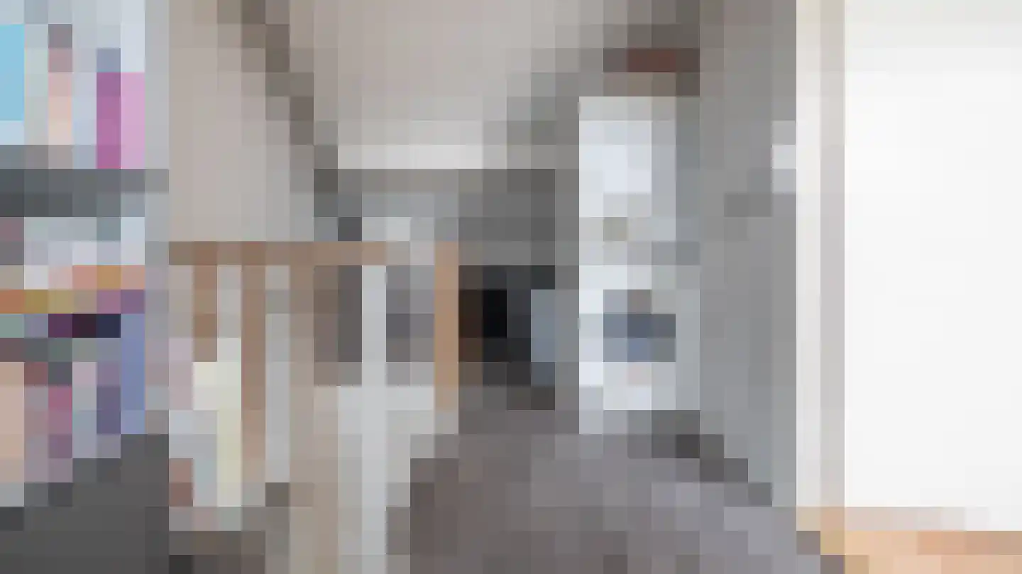 Schierstins 18 Almelo thumbnail 21