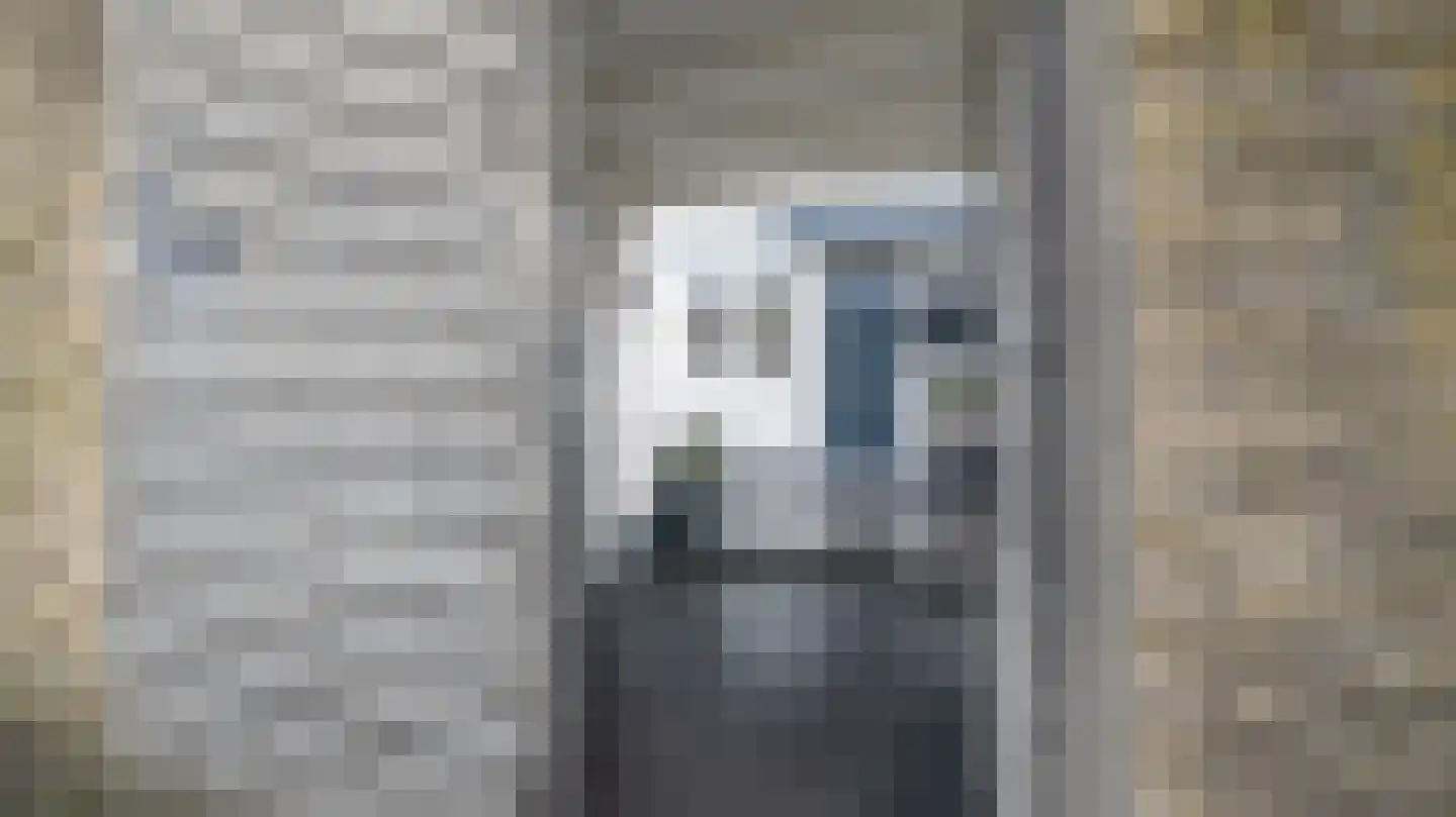 Schierstins 18 Almelo thumbnail 4
