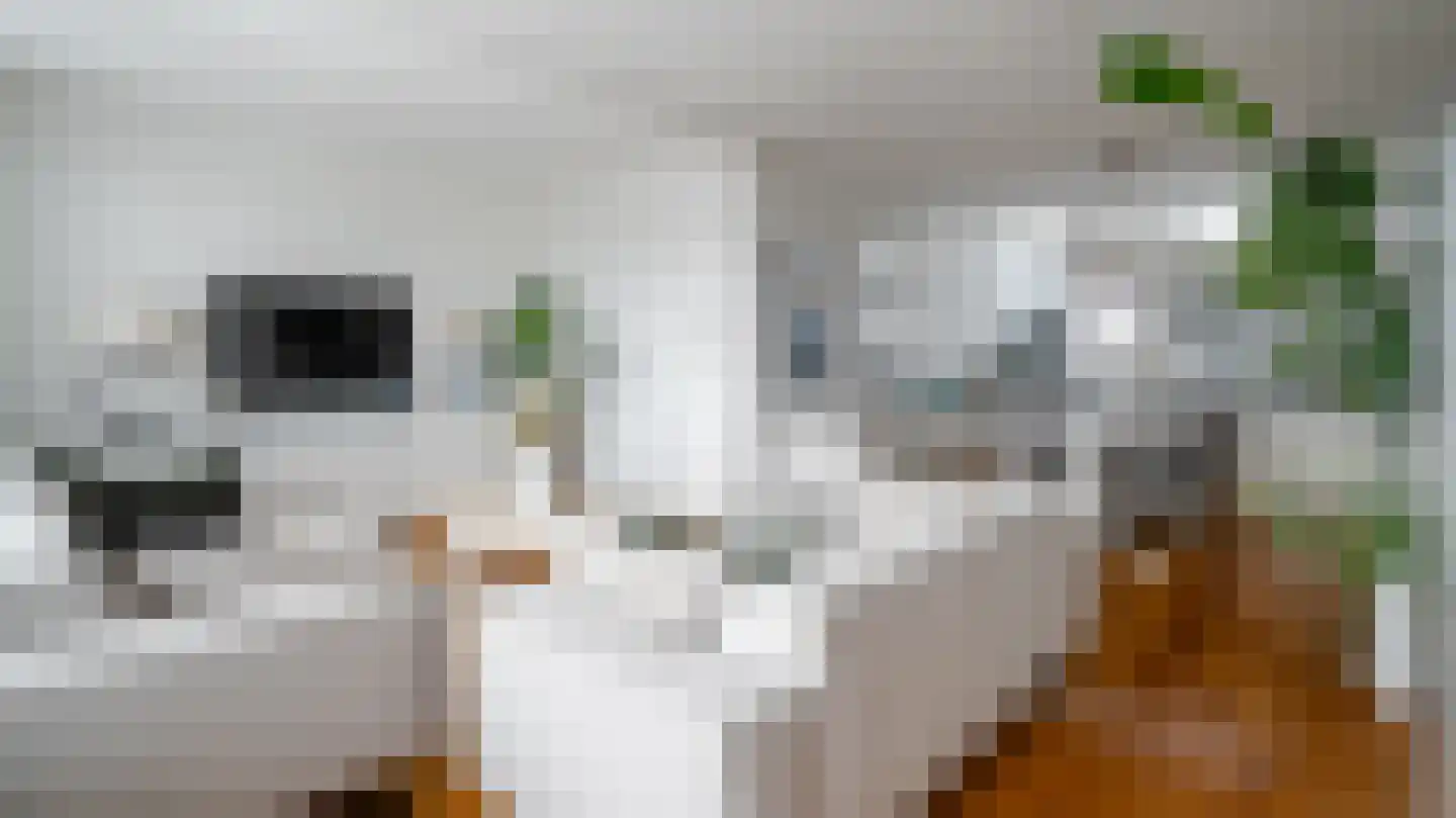 Schierstins 18 Almelo thumbnail 5
