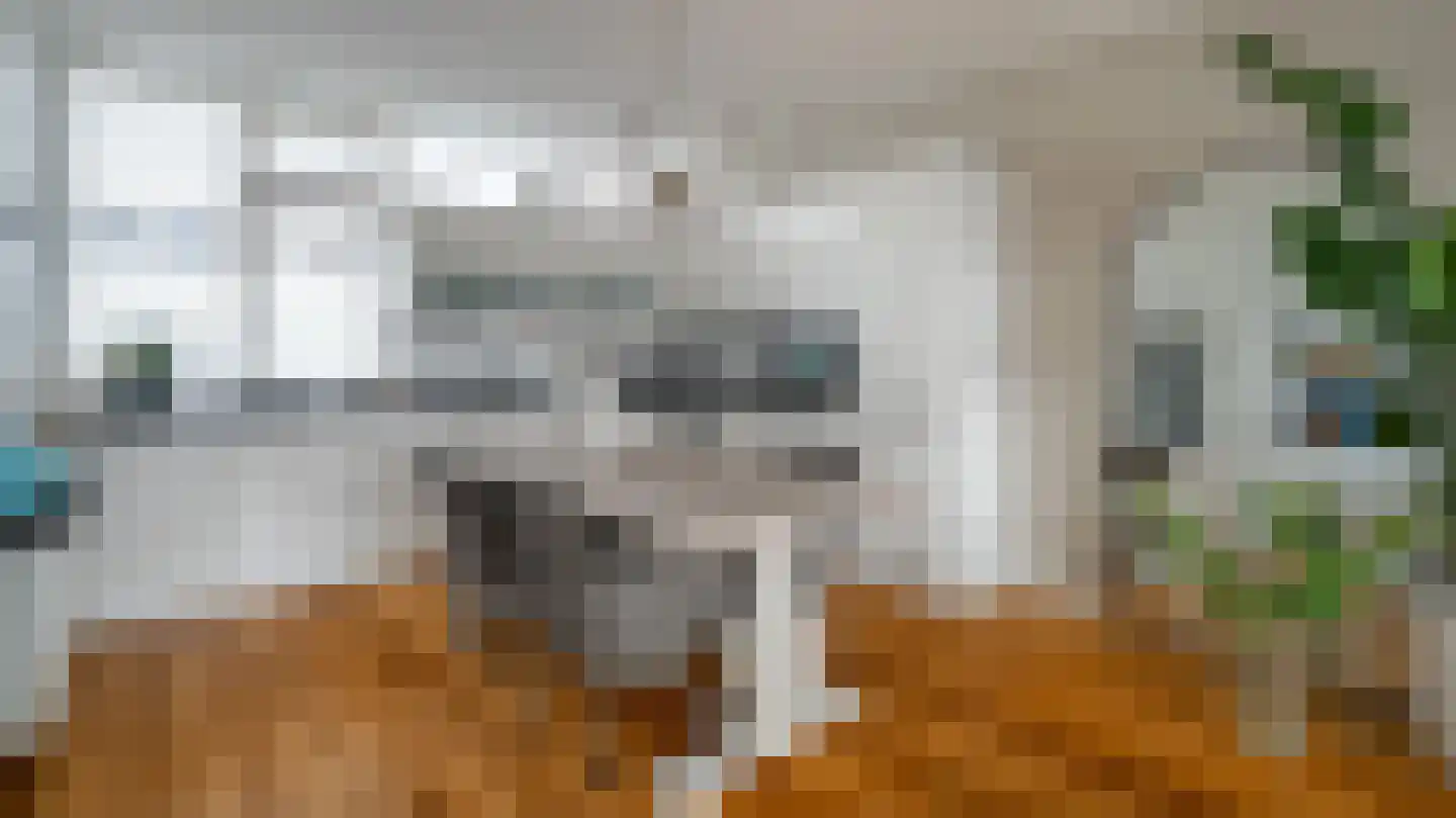Schierstins 18 Almelo thumbnail 6