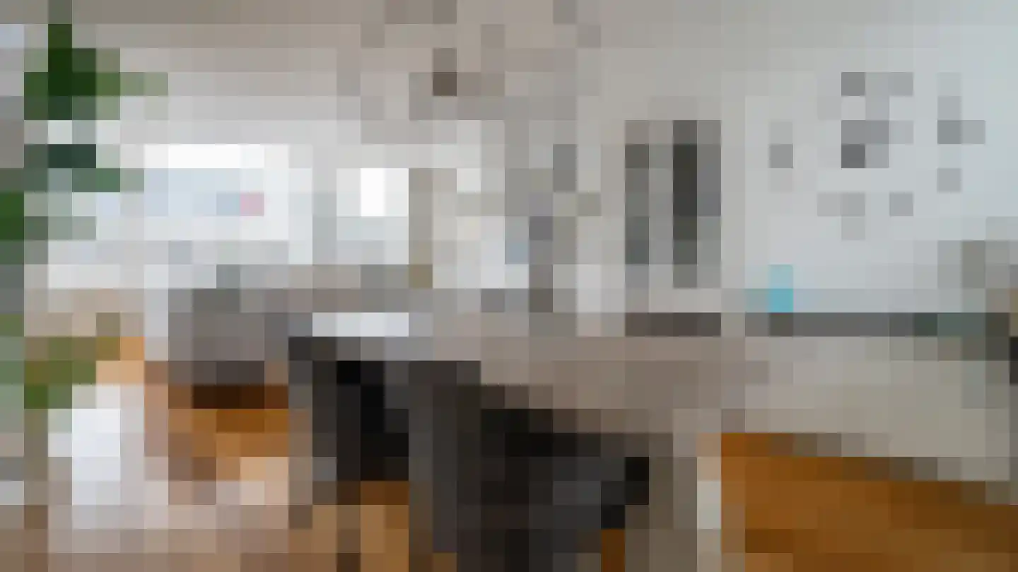 Schierstins 18 Almelo thumbnail 7