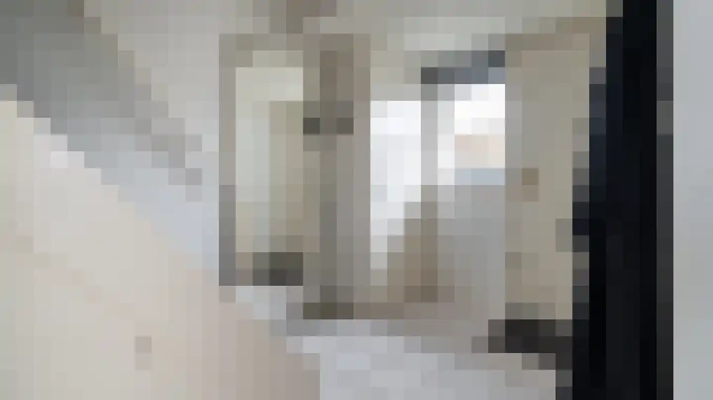Schierstins 18 Almelo thumbnail 8