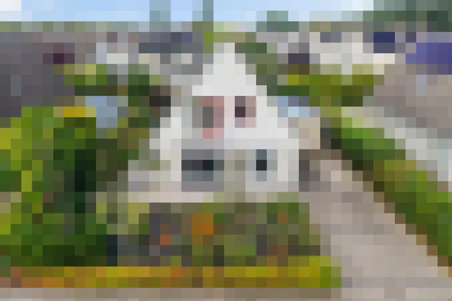 Schierstins 20 Leeuwarden thumbnail 12