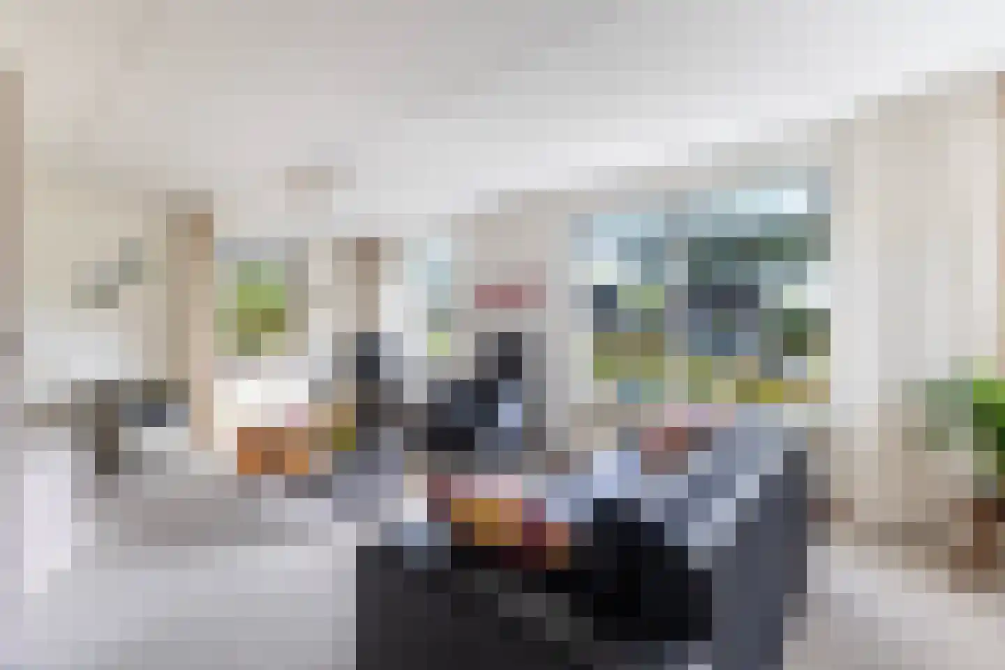 Schierstins 20 Leeuwarden thumbnail 17