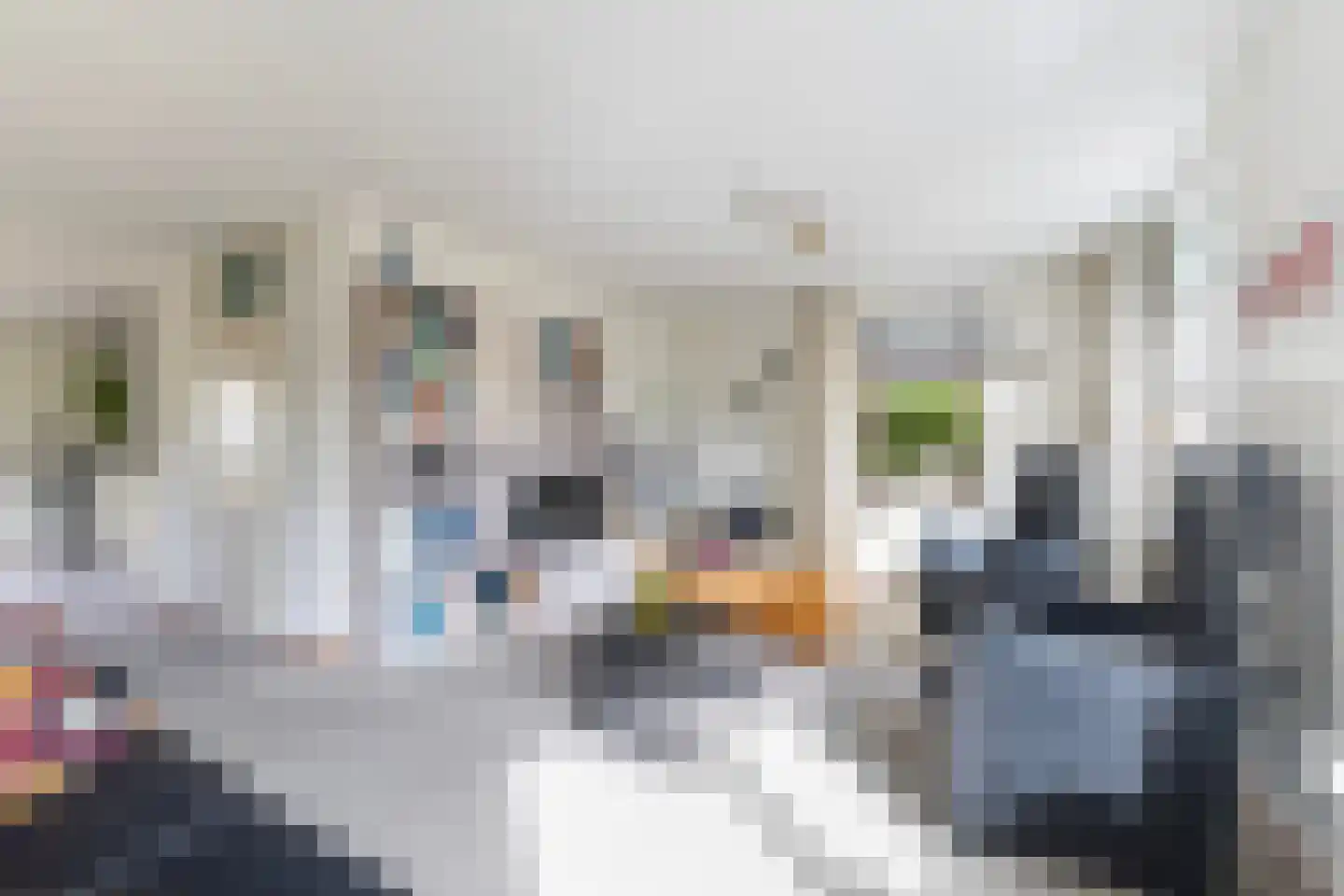 Schierstins 20 Leeuwarden thumbnail 18