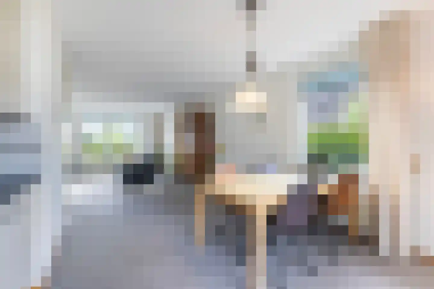 Schierstins 20 Leeuwarden thumbnail 21