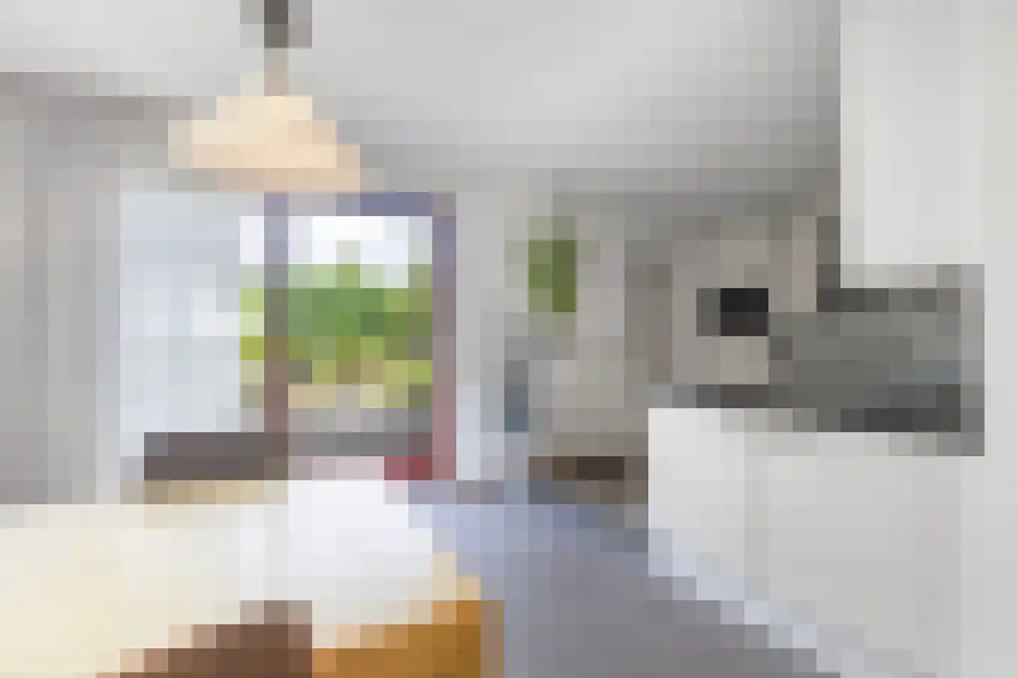 Schierstins 20 Leeuwarden thumbnail 22