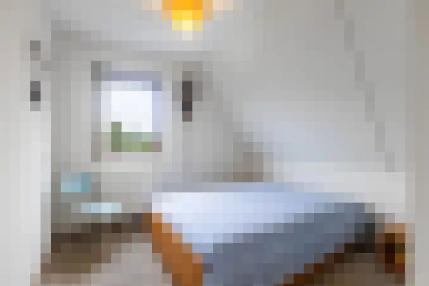 Schierstins 20 Leeuwarden thumbnail 31