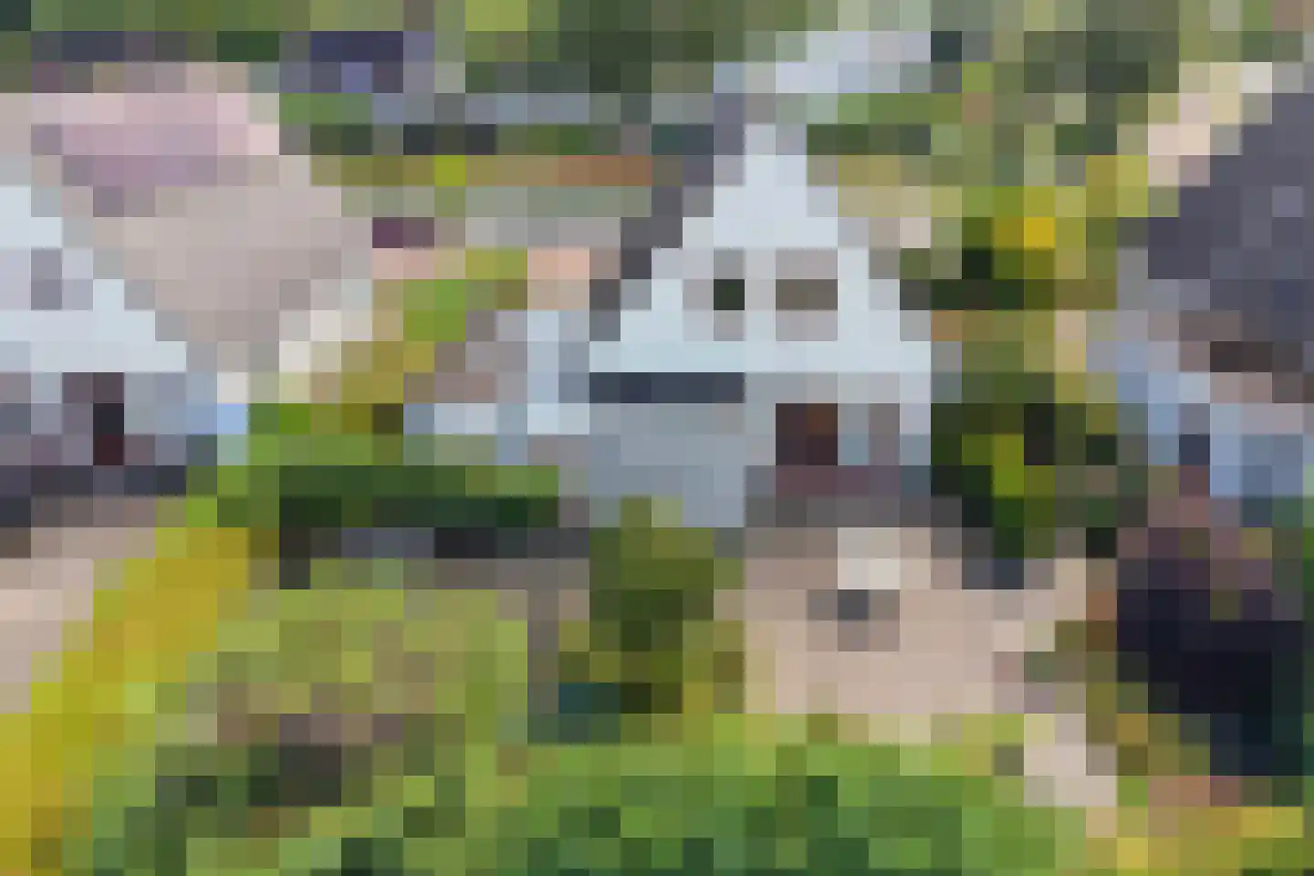 Schierstins 20 Leeuwarden thumbnail 4