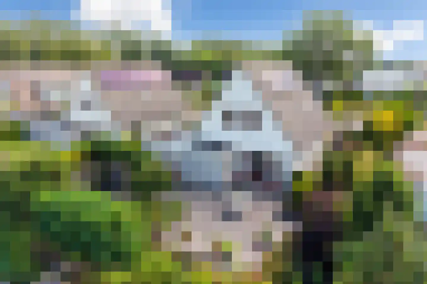 Schierstins 20 Leeuwarden thumbnail 5