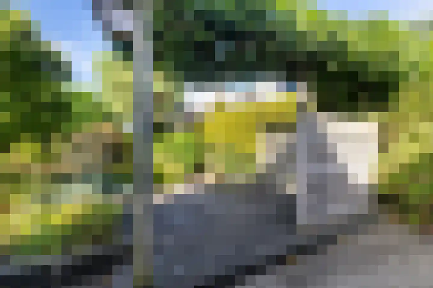 Schierstins 20 Leeuwarden thumbnail 7