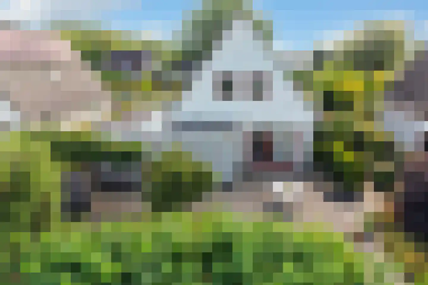 Schierstins 20 Leeuwarden thumbnail 9