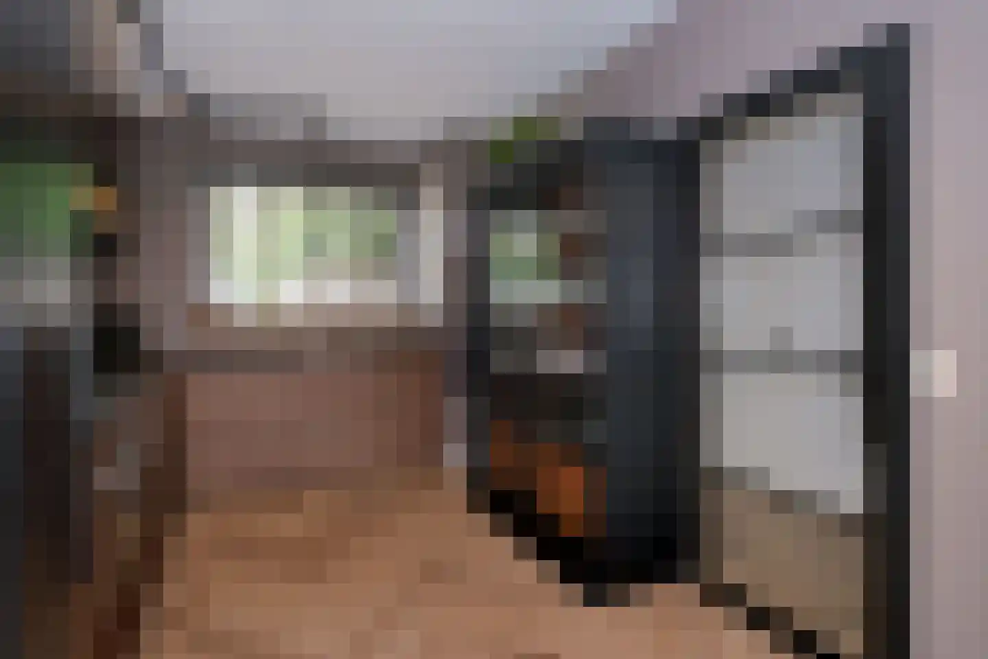 Schierstins 245 Almelo thumbnail 13