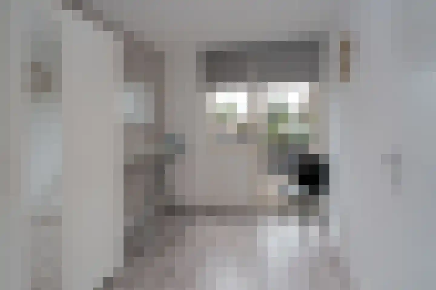 Schierstins 245 Almelo thumbnail 17
