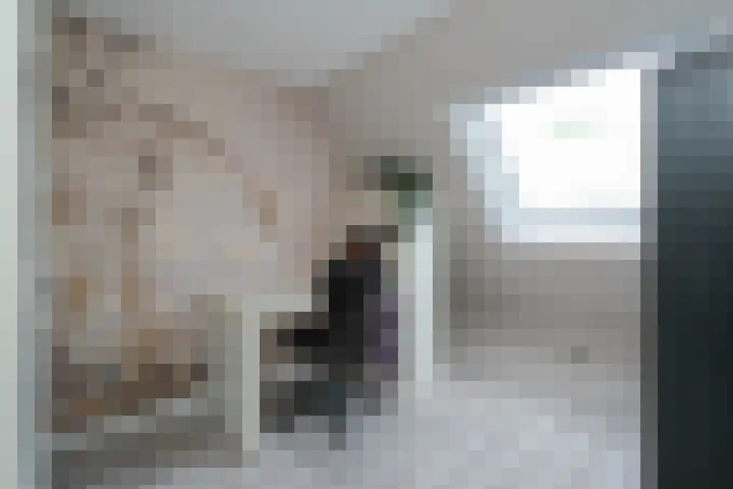Schierstins 245 Almelo thumbnail 18