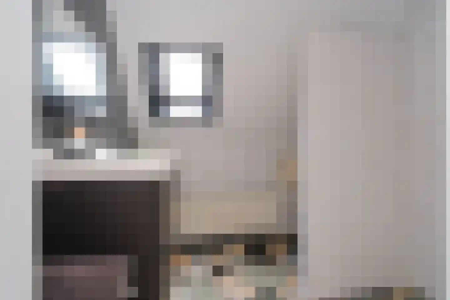 Schierstins 245 Almelo thumbnail 19
