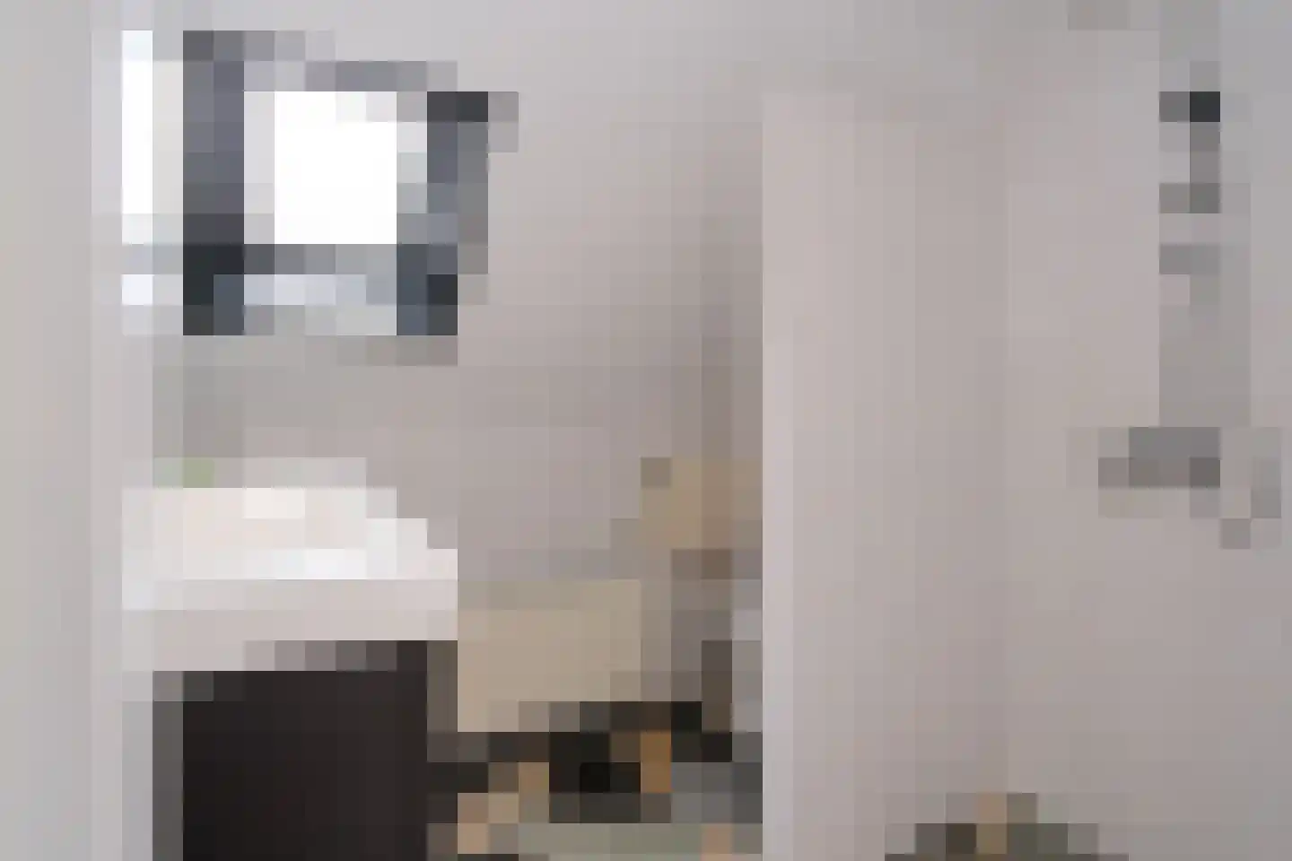 Schierstins 245 Almelo thumbnail 20