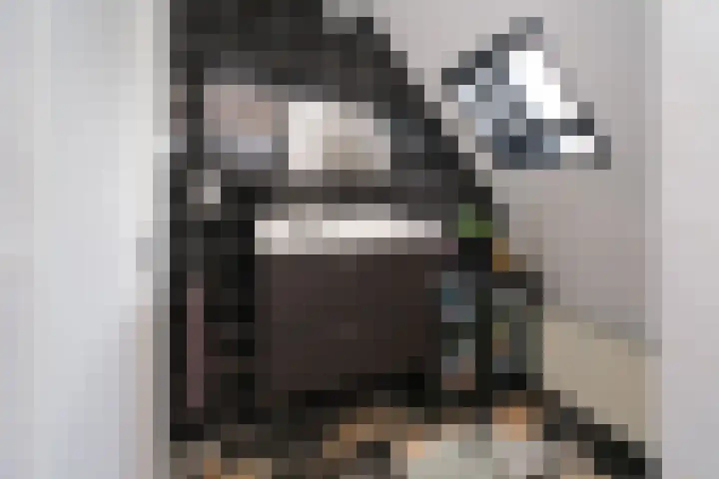 Schierstins 245 Almelo thumbnail 21