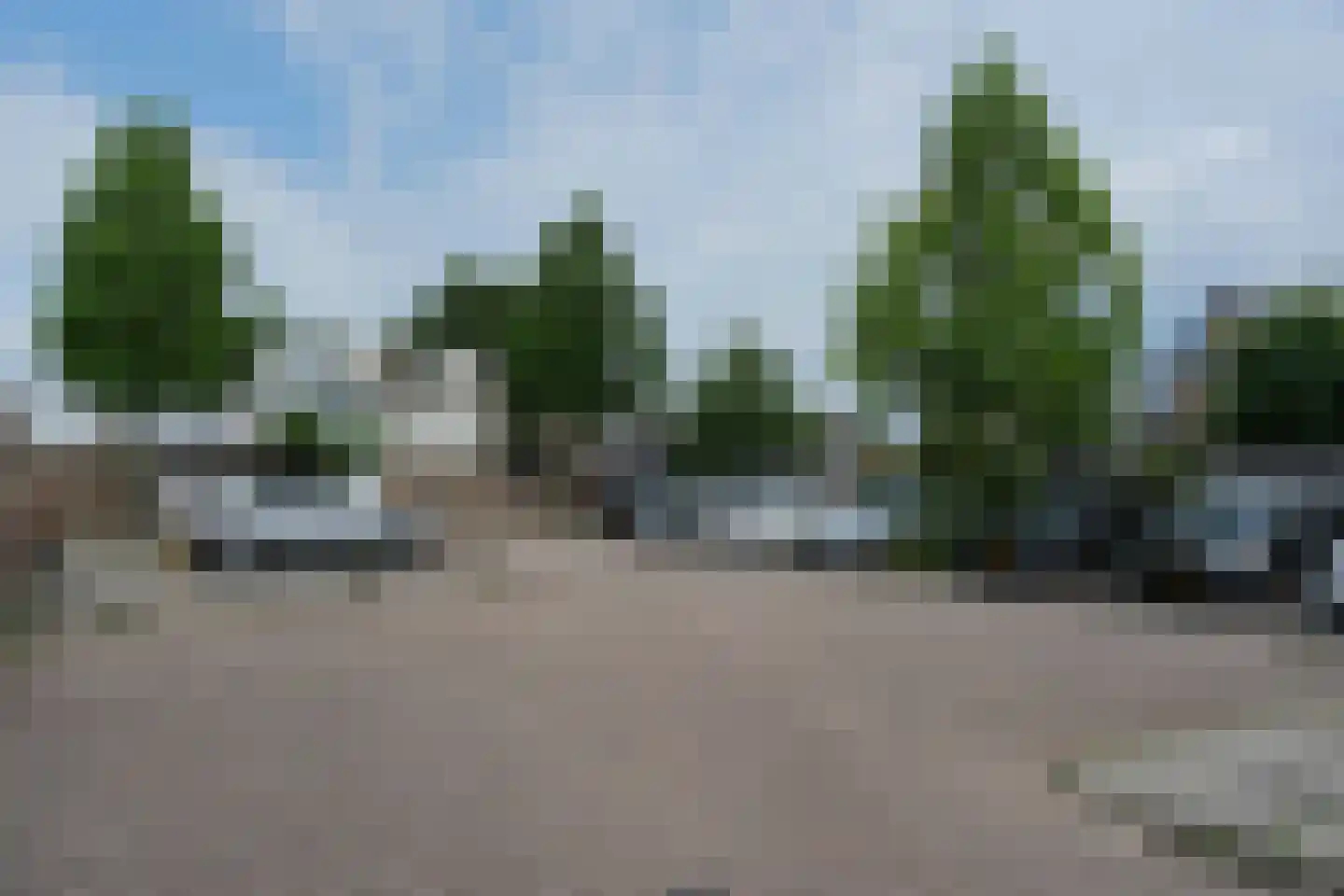 Schierstins 245 Almelo thumbnail 30