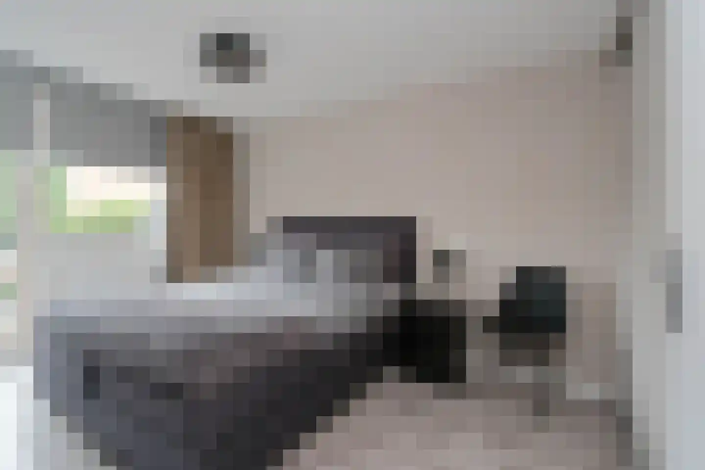 Schierstins 245 Almelo thumbnail 4