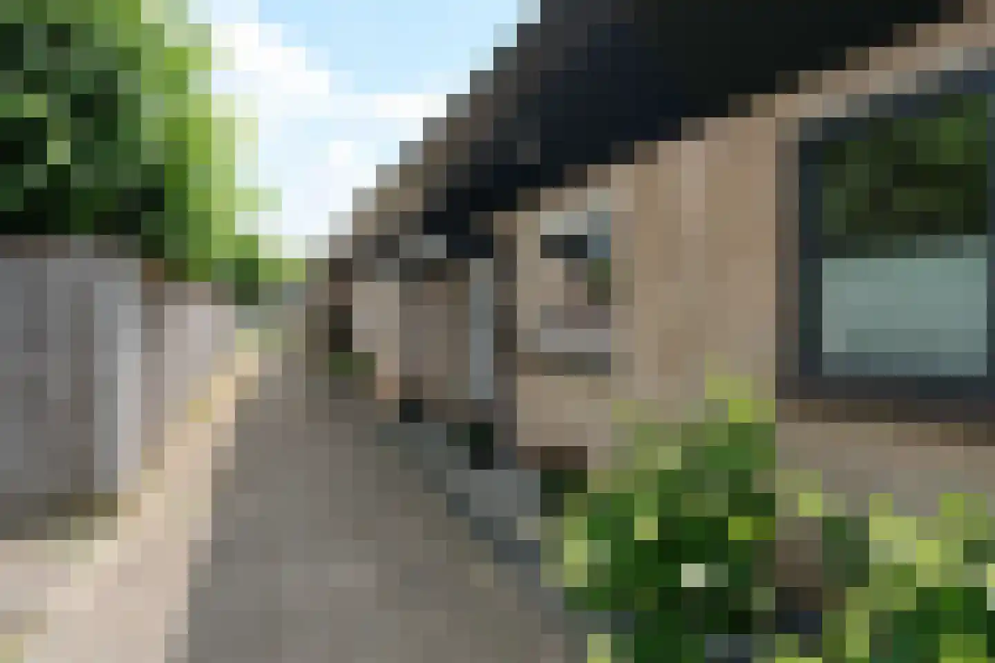 Schierstins 245 Almelo thumbnail 5