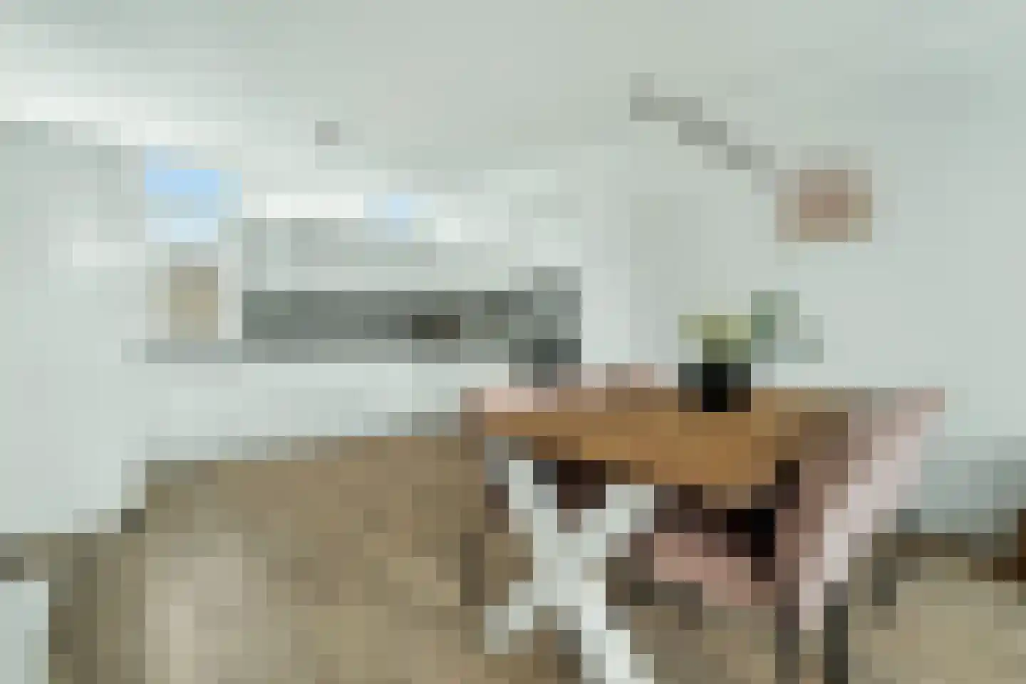 Schierstins 28 Almelo thumbnail 11