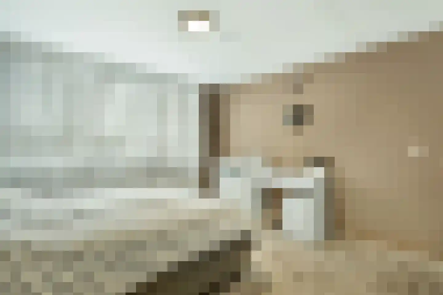 Schierstins 28 Almelo thumbnail 18