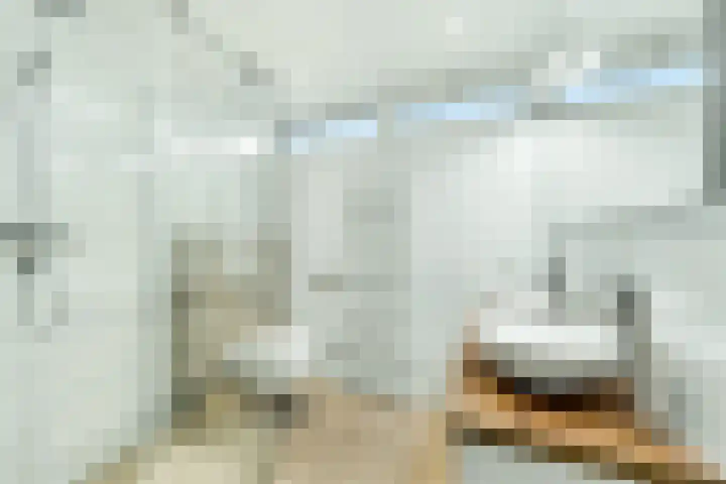 Schierstins 28 Almelo thumbnail 19
