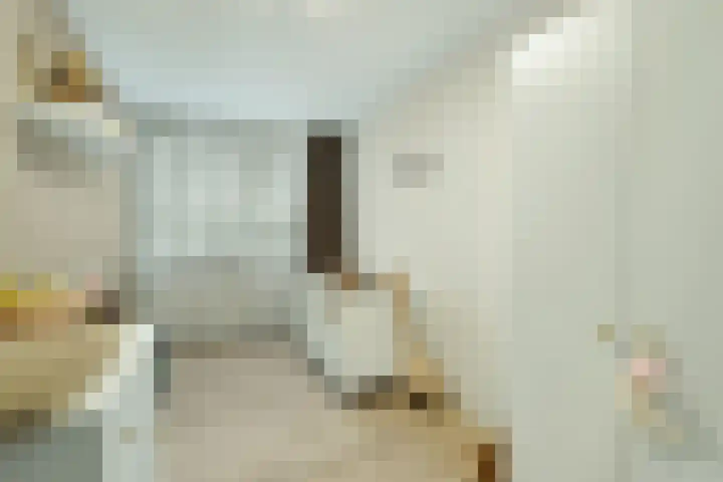 Schierstins 28 Almelo thumbnail 21