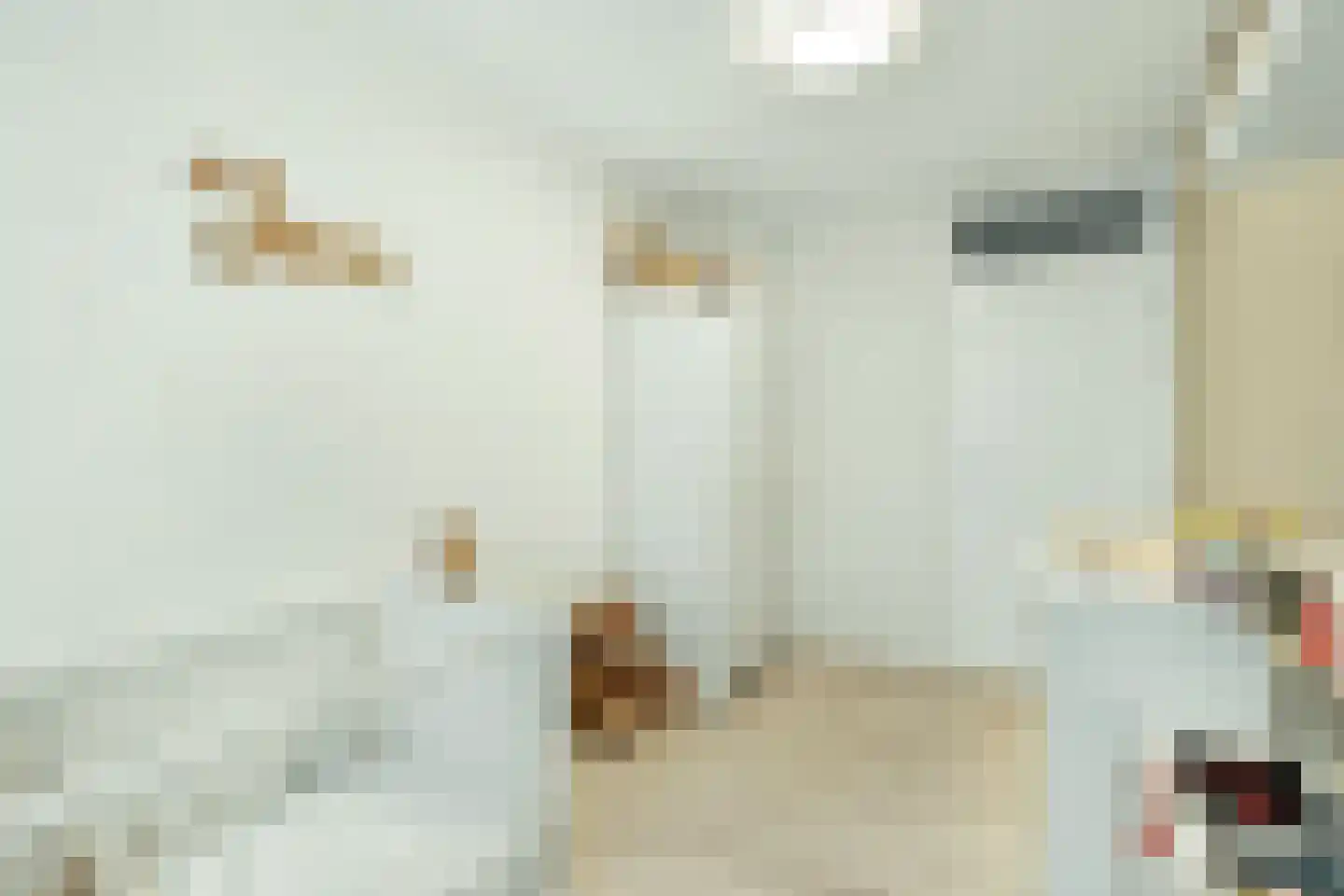 Schierstins 28 Almelo thumbnail 22