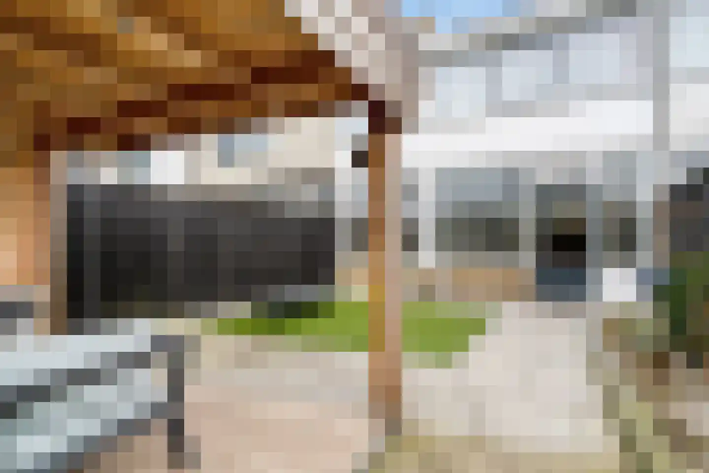 Schierstins 28 Almelo thumbnail 28