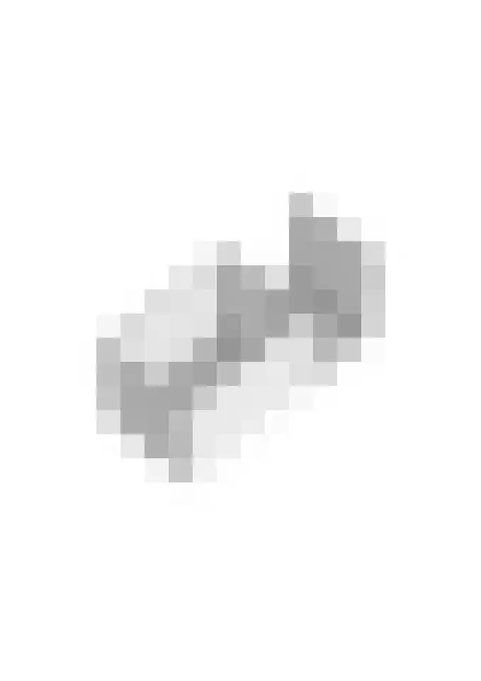 Schierstins 28 Almelo thumbnail 39
