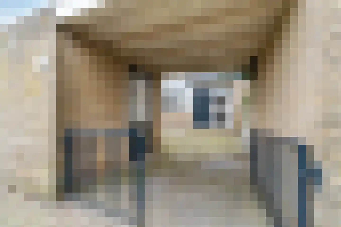 Schierstins 28 Almelo thumbnail 5