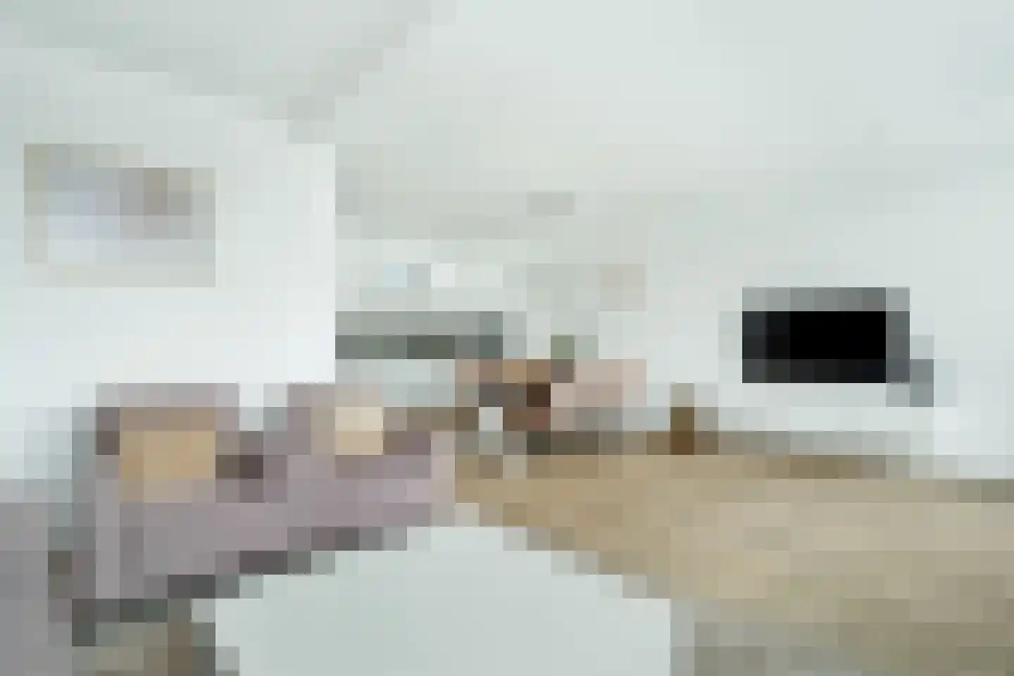 Schierstins 28 Almelo thumbnail 9