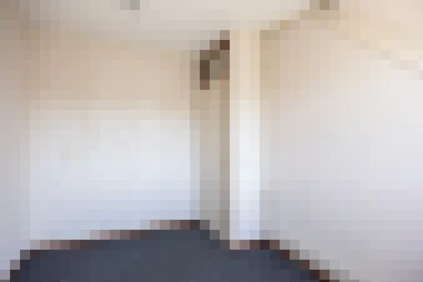Schierstins 32 Leeuwarden thumbnail 19
