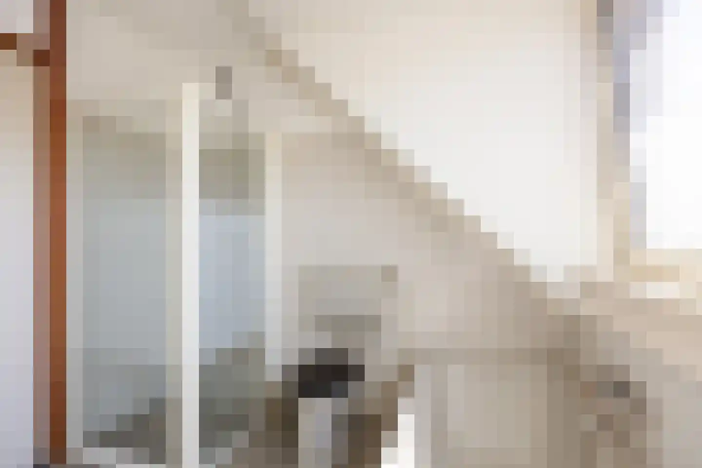 Schierstins 32 Leeuwarden thumbnail 23