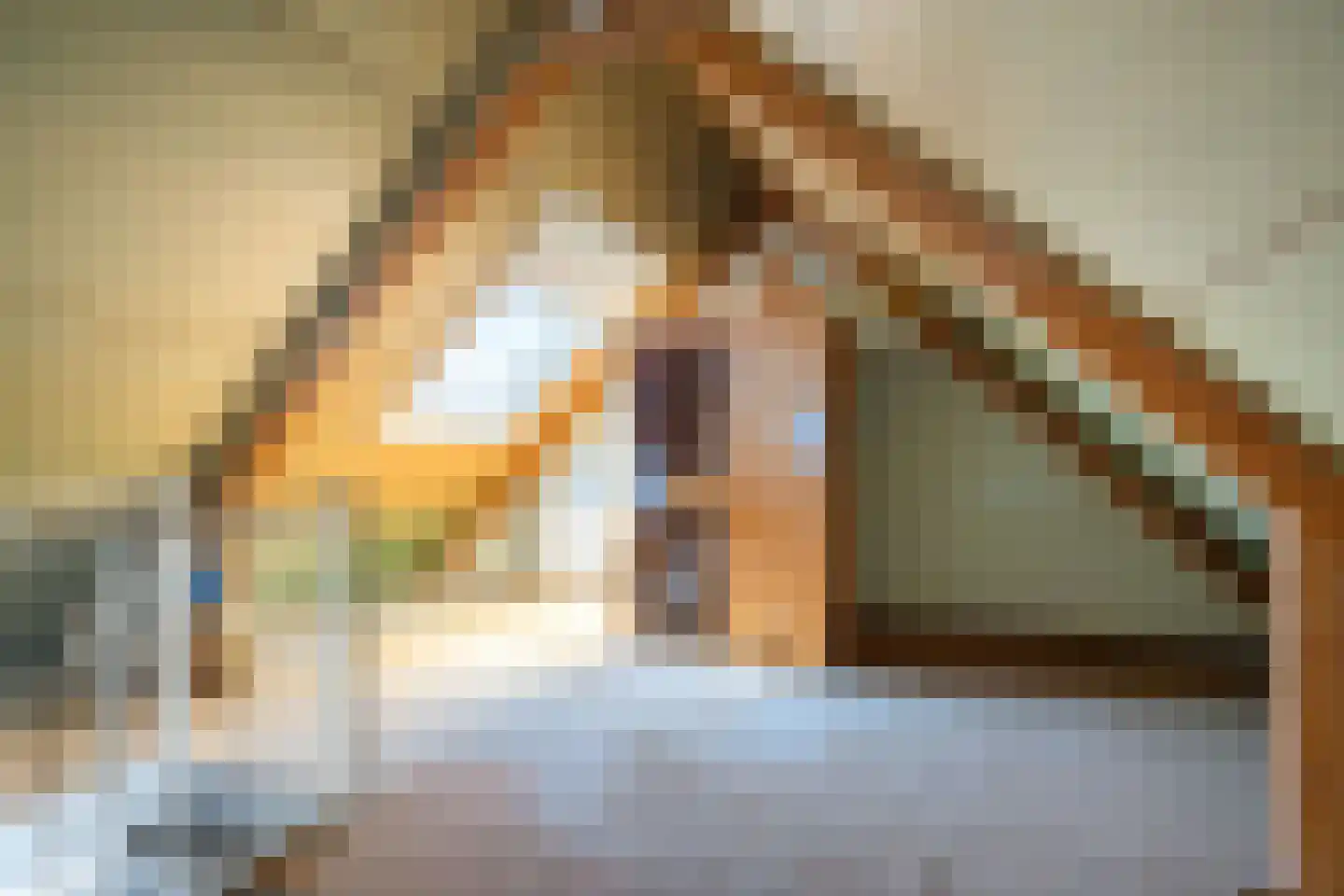 Schierstins 32 Leeuwarden thumbnail 24