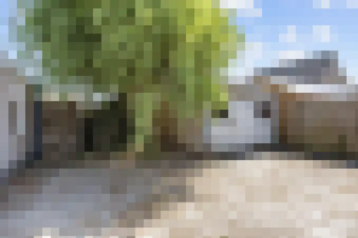 Schierstins 32 Leeuwarden thumbnail 27