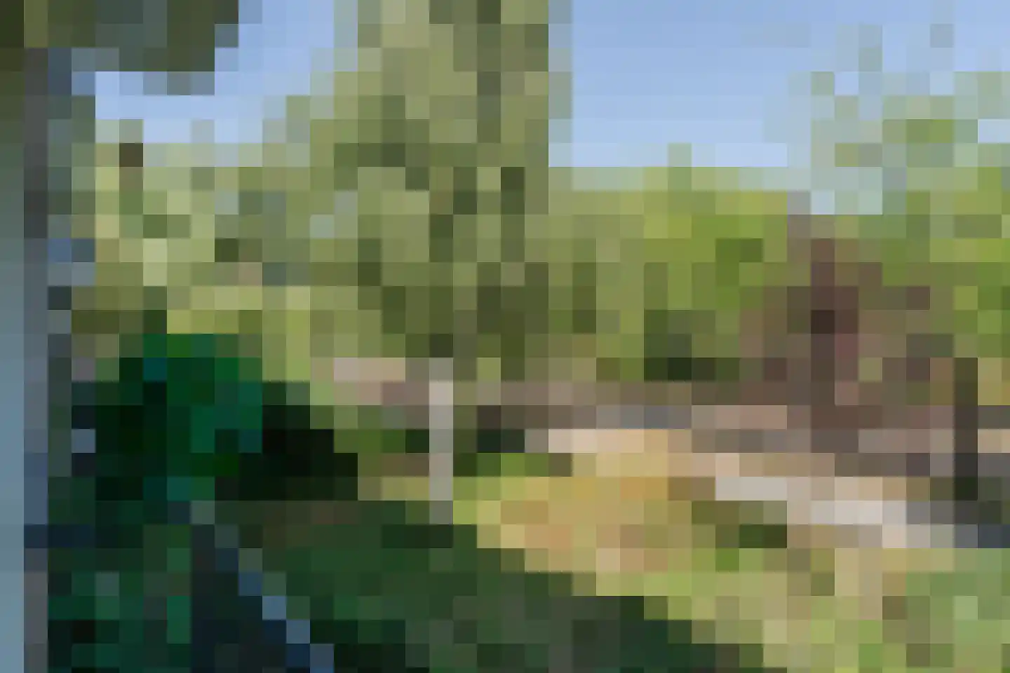 Schierstins 35 Amsterdam thumbnail 26
