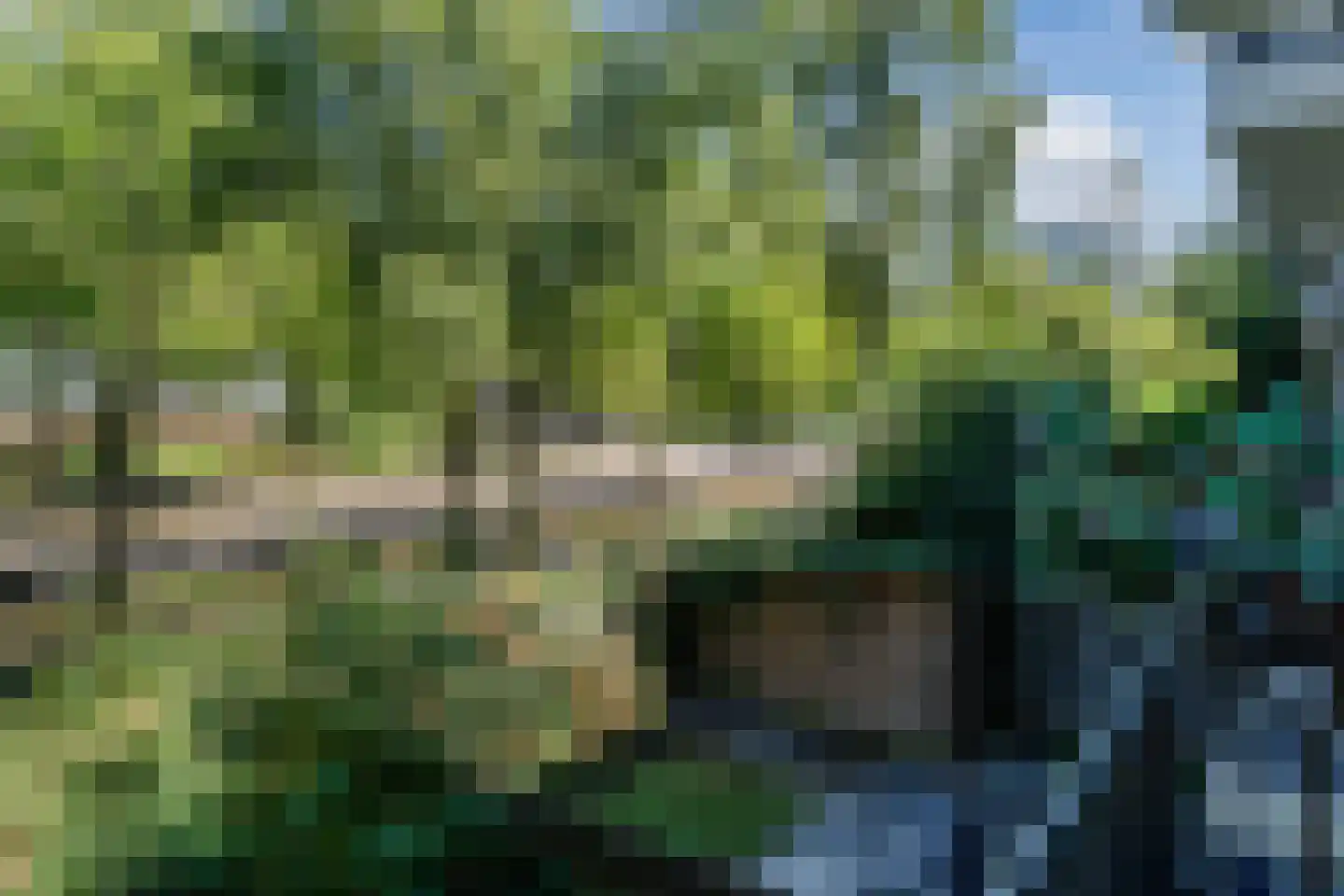 Schierstins 35 Amsterdam thumbnail 27