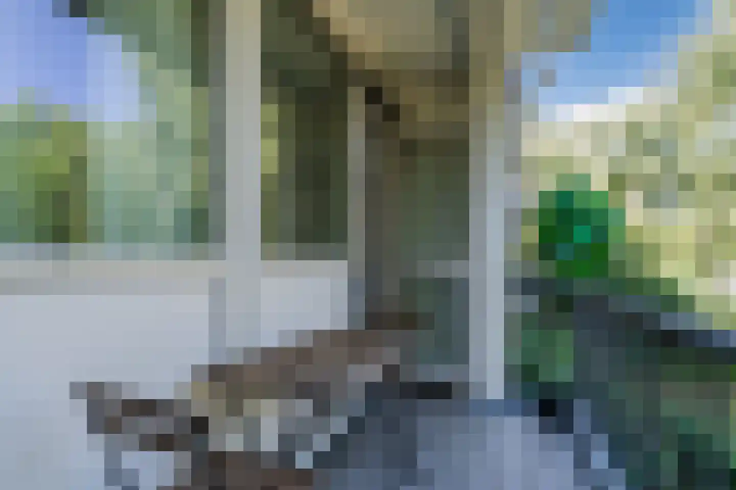 Schierstins 35 Amsterdam thumbnail 28