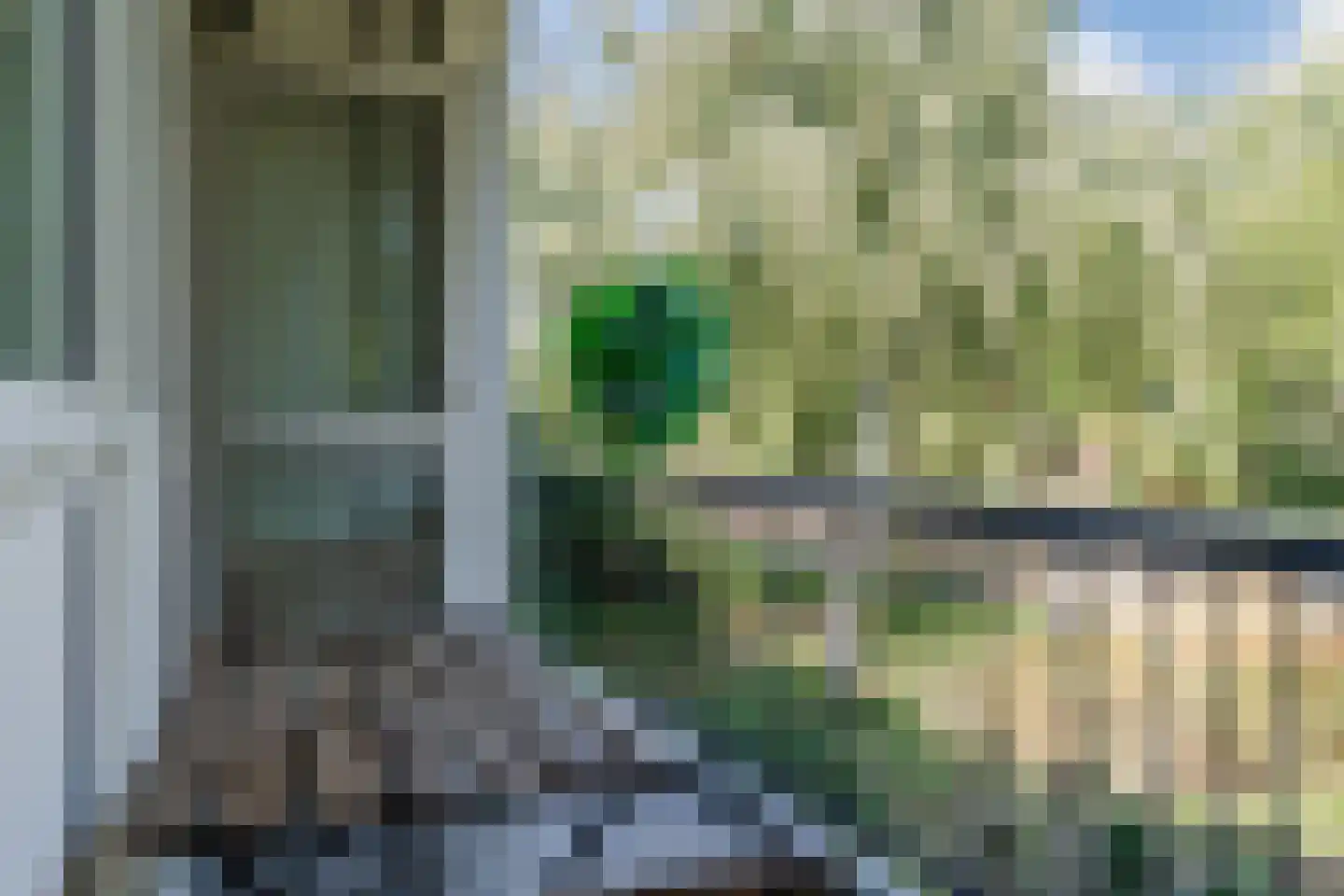 Schierstins 35 Amsterdam thumbnail 29