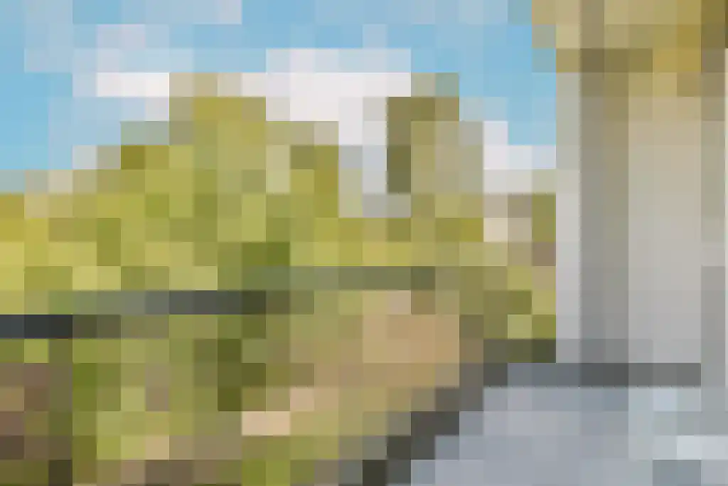 Schierstins 47 Amsterdam thumbnail 12